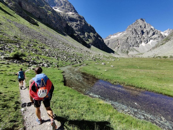 Sophie trace, les sauvages suivent