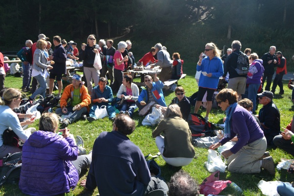 PicnicW