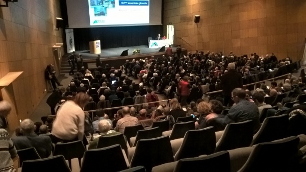 AMPHI