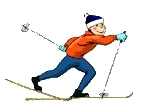 Skieur