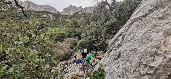 paysage des dentelles