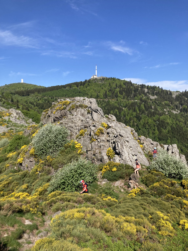 Oeillon depuis 3 Dents