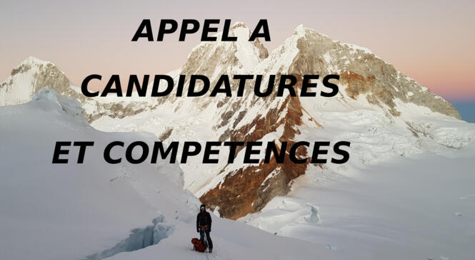 image article