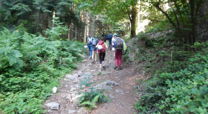 RETOUR SUR JOURNEE ESCALADE A DOIZIEUX image article