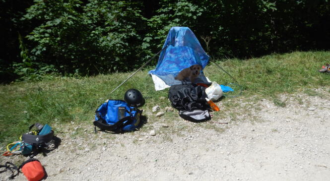 RETOUR COUENNES AUX ALLIERES image article