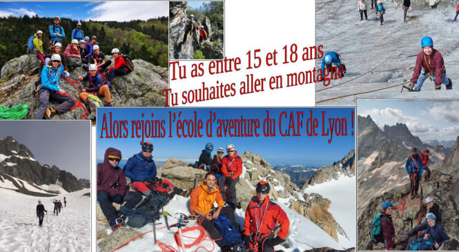 image article
