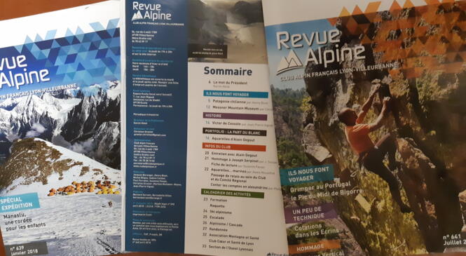 image article